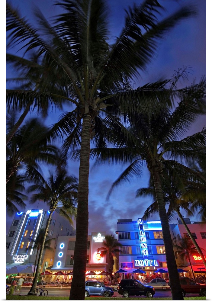 United States, USA, Florida, Miami, Miami Beach, Hotels along the Ocean Drive