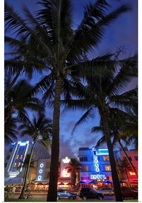 Florida, Miami, Miami Beach, Hotels along the Ocean Drive