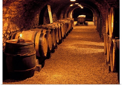 France, Burgundy, Beaune, Cote-d'Or, Couvent des Cordeliers, wine cellar