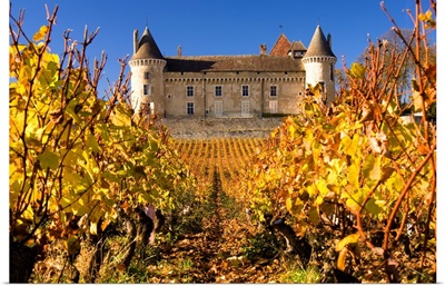 France, Burgundy, Rully, Saone-et-Loire, Rully castle and vineyards