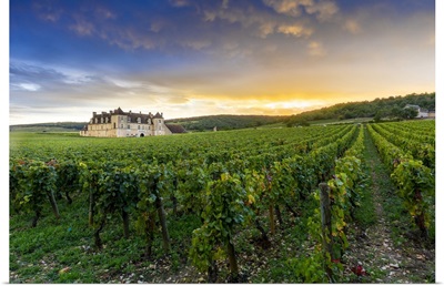 France, Chateau Clos De Vougeot, Vineyards Along The Route Des Grands Crus, Sunset