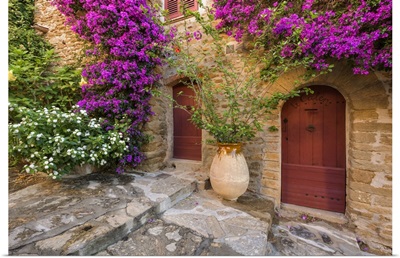 France, Cote D'azur, French Riviera, Var, House Entrance With Blooming Bougainvillea