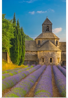 France, Gordes, Provence, Notre-Dame De Senanque Abbey With Lavender Fields