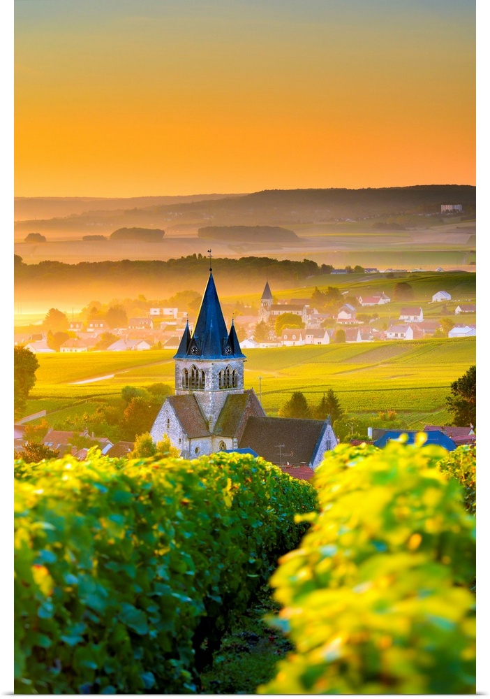 France, Grand Est, Ville-Dommange, Marne, Classic landscape in Champagne region, France.