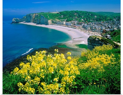 France, Haute-Normandie, Etretat, typical coast