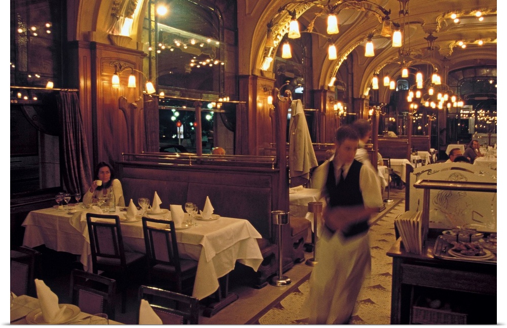 The most famous restaurant in Nancy, the Brasserie Excelsior is completely decorated with Art Nouveau masterpieces by Majo...