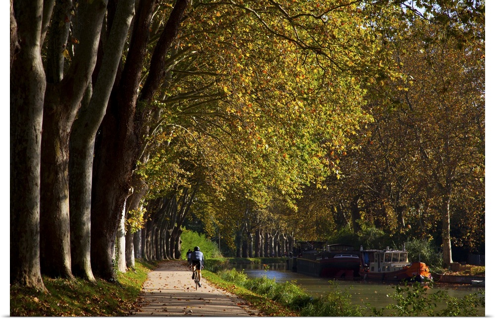 France, Midi-Pyrenees, Canal du Midi, Toulouse, Cycling along the Canal du Midi in the fall.
