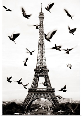 France, Paris, Birds In Front Of The Eiffel Tower