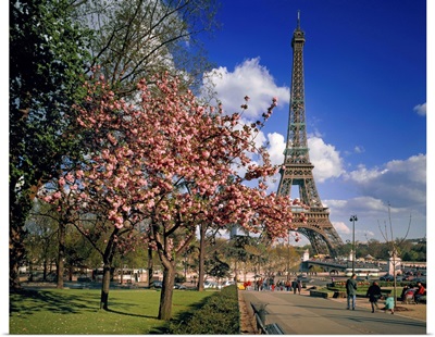 France, Paris, Eiffel Tower during spring