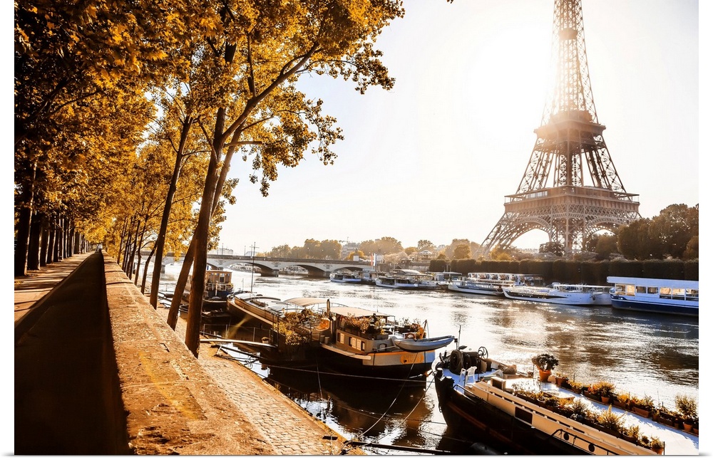 France, Ile-de-France, Seine, Ville de Paris, Paris, Invalides, The river Seine and Eiffel Tower in the foliage at sunrise