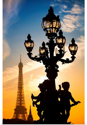 France, Paris, Ville De Paris, Invalides, Eiffel Tower And Lamp Of Alexander III Bridge