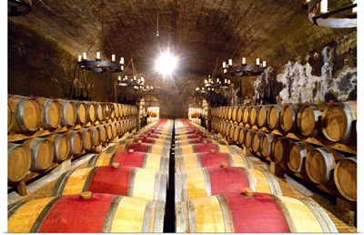 France, Provence-Alpes-Cote d'Azur, Chateau La Gardine, the wine-cellar
