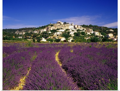France, Provence-Alpes-Cote d'Azur, Simiane-la-Rotonde