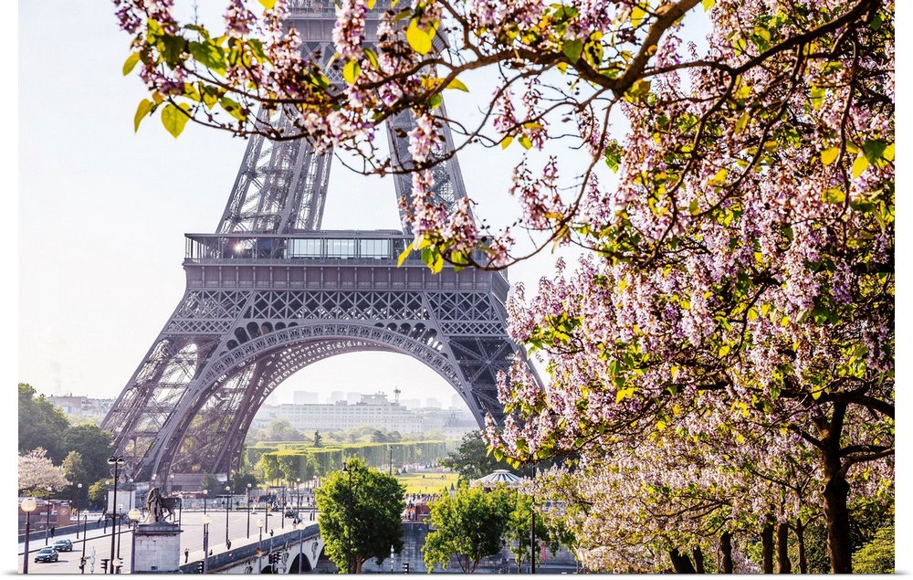 France, Ile-de-France, Ville de Paris, Paris, Invalides, Eiffel Tower, Eiffel Tower and flowering trees