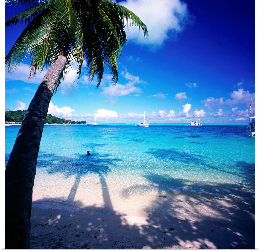 French Polynesia, Polyn.sie fran.aise, Society Islands, Iles de la Soci.t., Bora Bora, Rofau Bay, beach