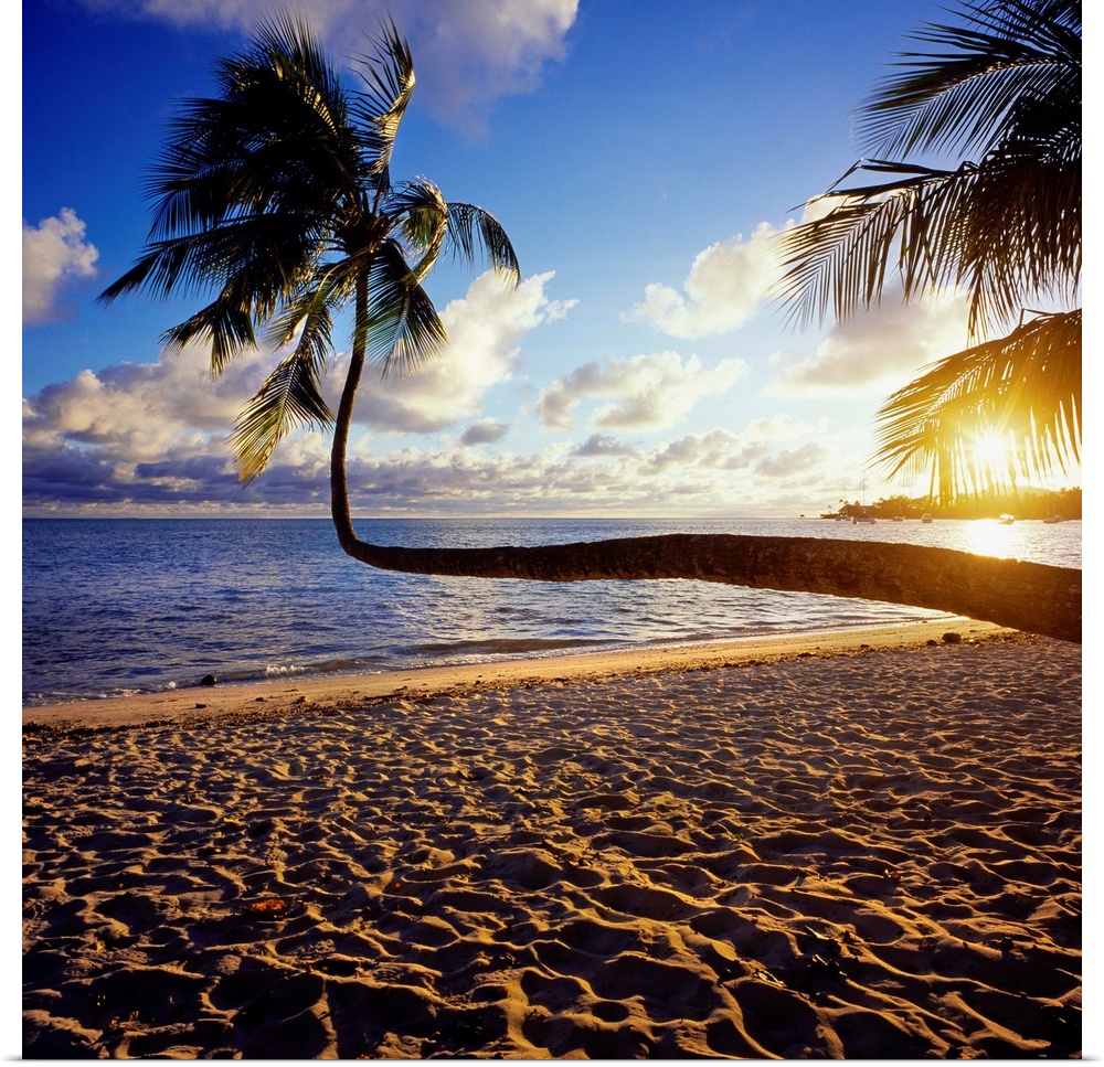 French Polynesia, Polyn.sie fran.aise, Society Islands, Iles de la Soci.t., Bora Bora, Rofau Bay, beach at sunset