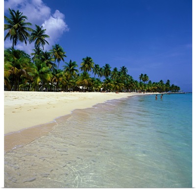 French West Indies, Guadeloupe, Caribbean, Caravelle beach