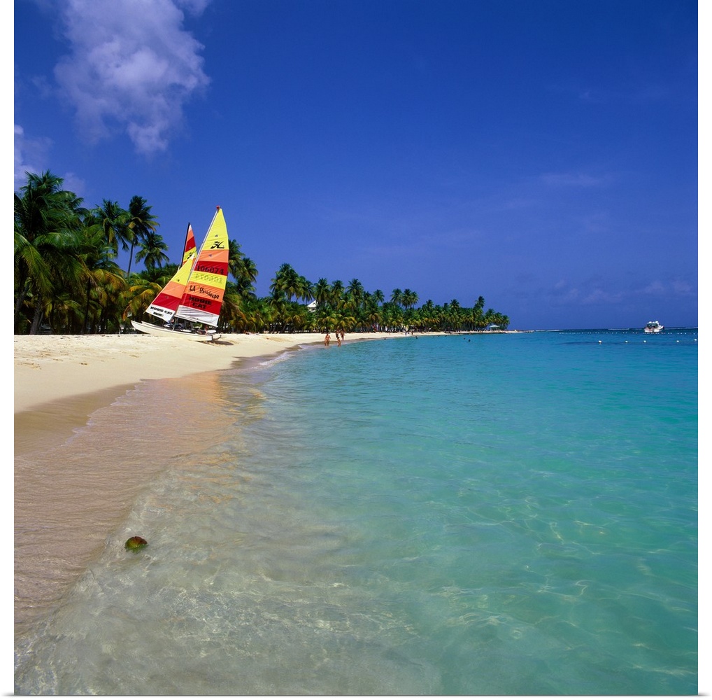 French Antilles, French West Indies, Guadeloupe, Caribbean, Caribs, Caravelle beach