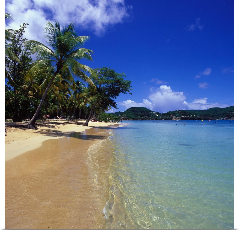 French Antilles, French West Indies, Martinique, Caribbean, Caribs, Club Med Les Boucaniers, beach