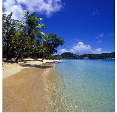 French West Indies, Martinique, Caribbean, Club Med Les Boucaniers, beach