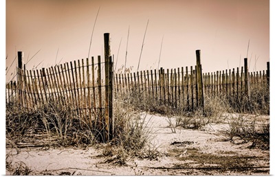 Georgia, Tybee Island, Beach Scene With Wooden Fence On Sand Dunes