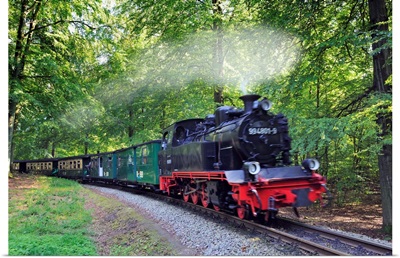 Germany, Mecklenburg-Western Pomerania, Baltic sea, The train Rasender Roland
