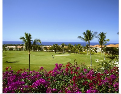 Hawaii, Tropics, Pacific ocean, Big Island, Kona coast, Mauna Loa Village, golf course