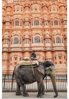 India, Rajasthan, Jaipur, Man and his painted elephant outside Hawa Mahal