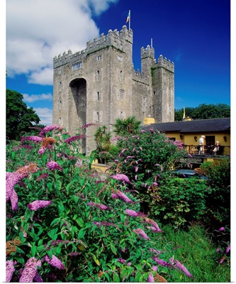 Ireland, County Clare, Bunratty Castle near Limerick town