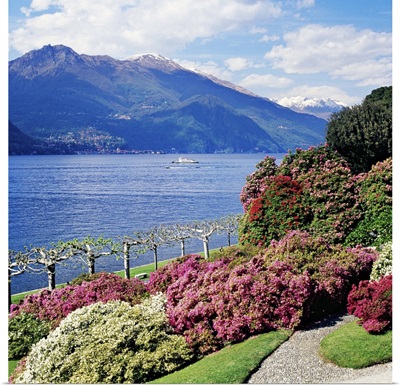 Italy, Bellagio, Como district, Villa Melzi, park with rhododendron on lakeside