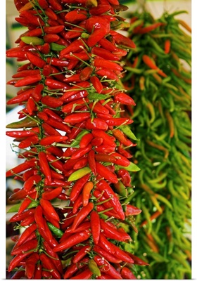 Italy, Calabria, Catanzaro, Hot peppers