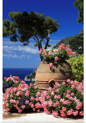 Italy, Campania, Capri, Flowers