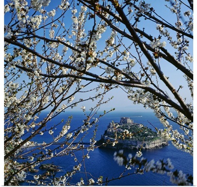 Italy, Campania, Ischia Island, Ischia Ponte, Aragonese Castle