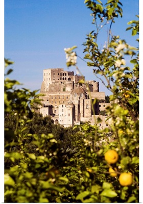 Italy, Campania, Ischia Island, Ischia Ponte, Aragonese Castle with lemon tree