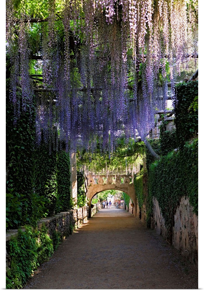 Italy, Italia, Campania, Peninsula of Sorrento, Amalfi Coast, Ravello town, Villa Cimbrone, the garden