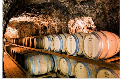 Italy, Campania, Salerno district, Marisa Cuomo's casks cellar