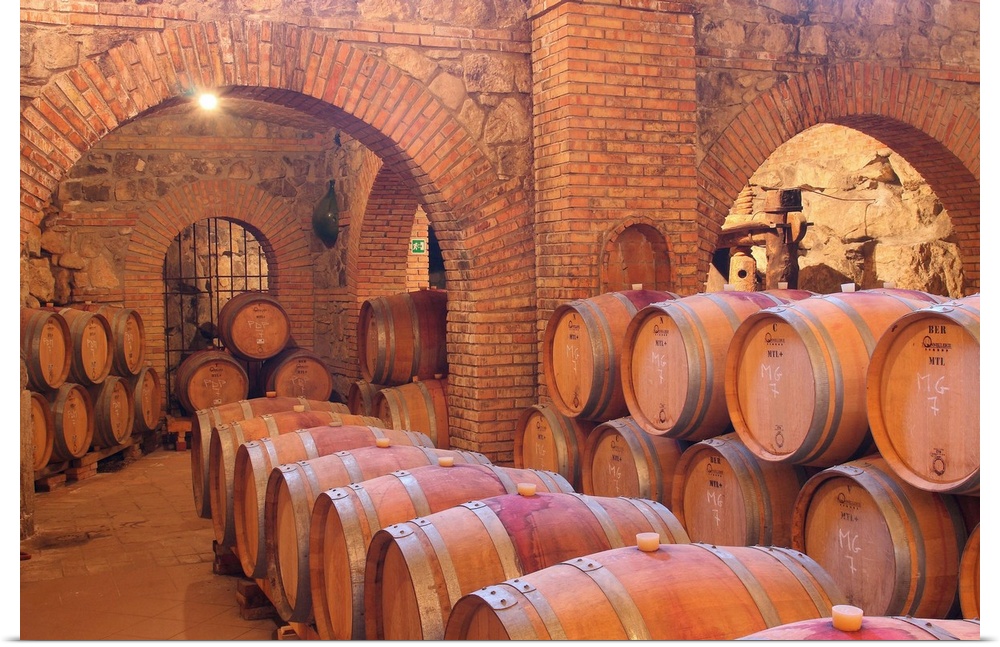 Italy, Campania, Taurasi, Wine Cellar of Antonio Caggiano