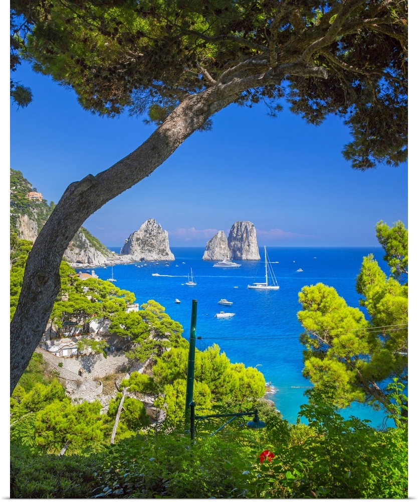 Italy, Campania, Mediterranean sea, Tyrrhenian sea, Tyrrhenian coast, Napoli district, Capri, Marina Piccola, Faraglioni