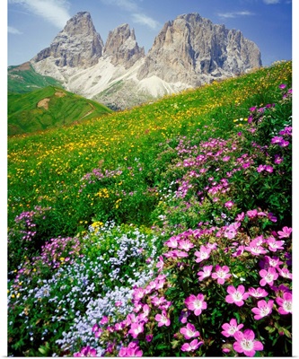 Italy, Dolomites, Sassolungo, Passo Sella, meadow and Sassolungo