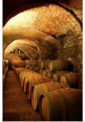 Italy, Emilia-Romagna, Piacenza, Ziano Piacentino, wine cellar