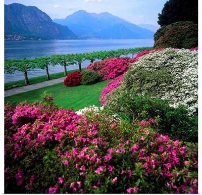 Italy, Lake Como, Villa Melzi d'Eril, park