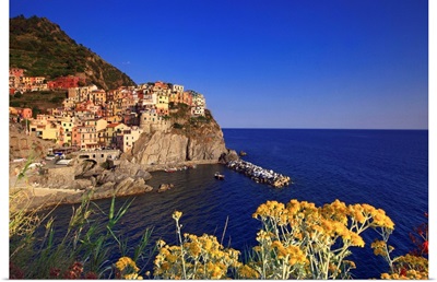 Italy, Liguria, Cinque Terre, Manarola, spring afternoon, flowerings of the village