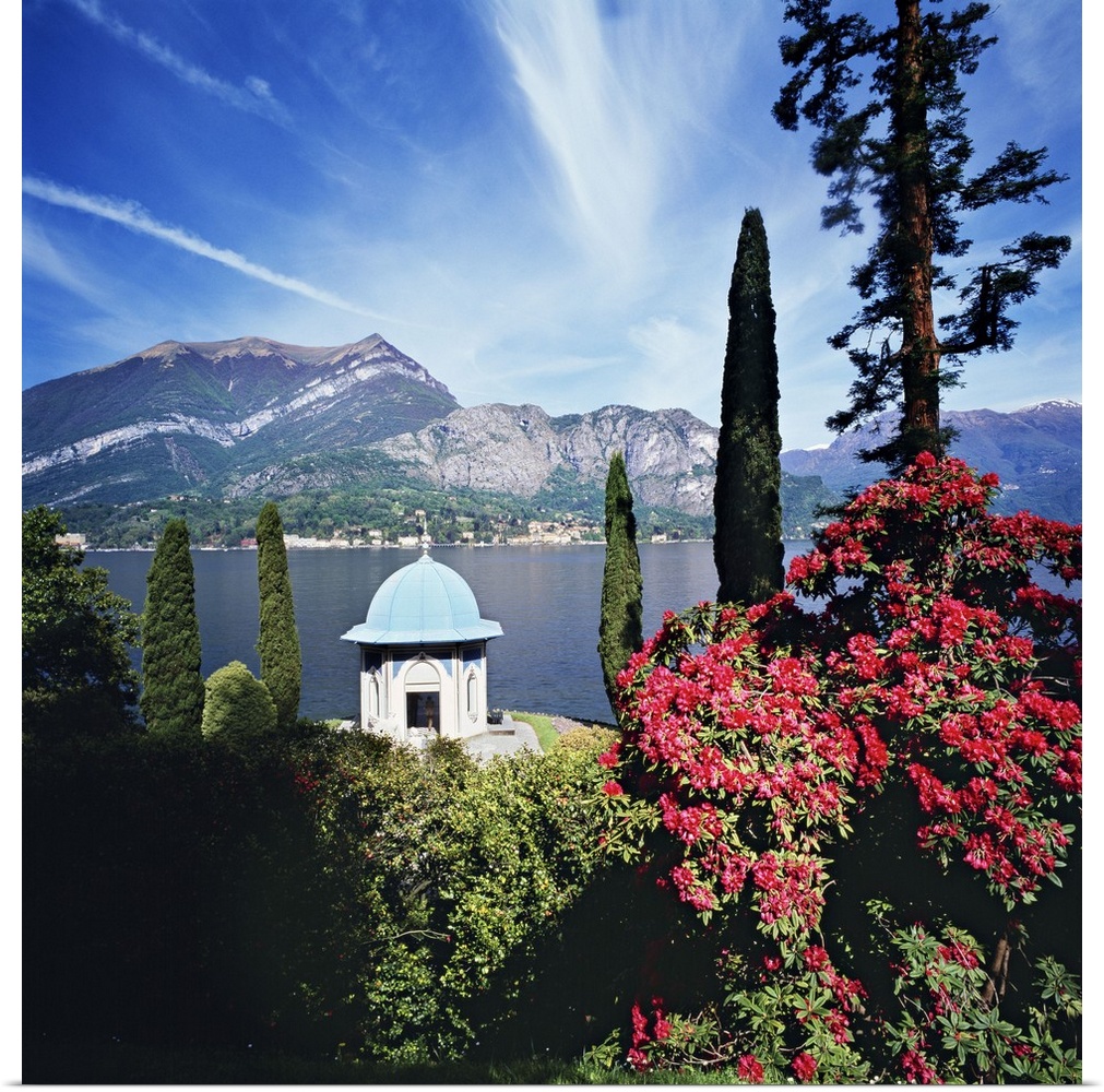 Italy, Lombardy, Como Lake, Bellagio, Mediterranean area, Como district, Travel Destination, Villa Melzi,rhododendron in t...
