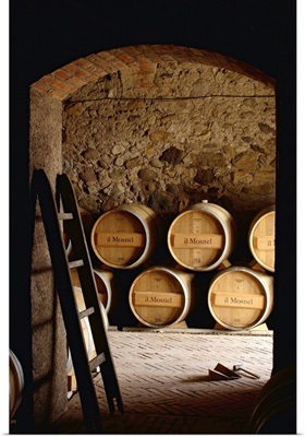 Italy, Lombardy, Franciacorta, Camignone, Il Mosnel winery