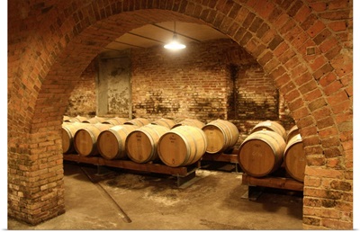 Italy, Lombardy, Oltrepo Pavese, Casteggio, Frecciarossa wine cellar