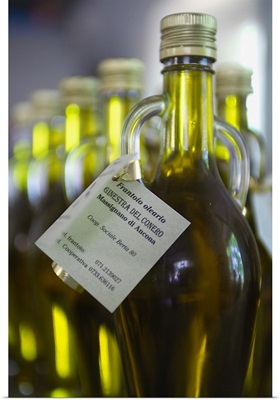 Italy, Marche, Monte Conero, extra virgin olive oil