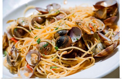 Italy, Marches, Adriatic Coast, Ancona district, Spaghetti with clams