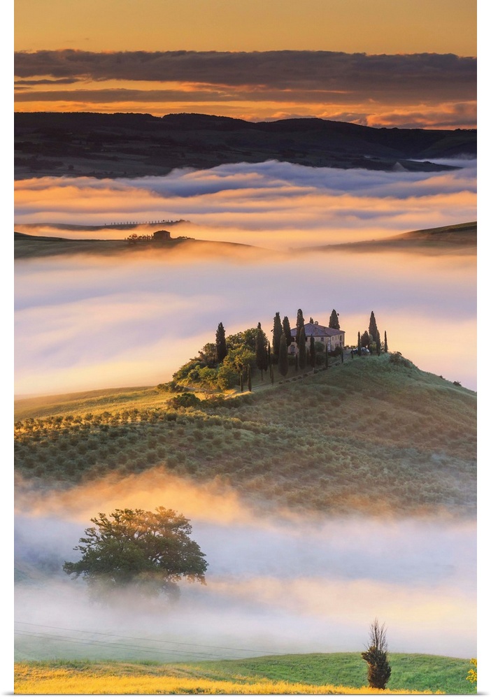 Italy, Tuscany, Siena district, Orcia Valley, San Quirico d'Orcia, Dawn.