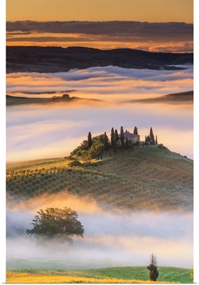 Italy, Orcia Valley, San Quirico d'Orcia, Dawn