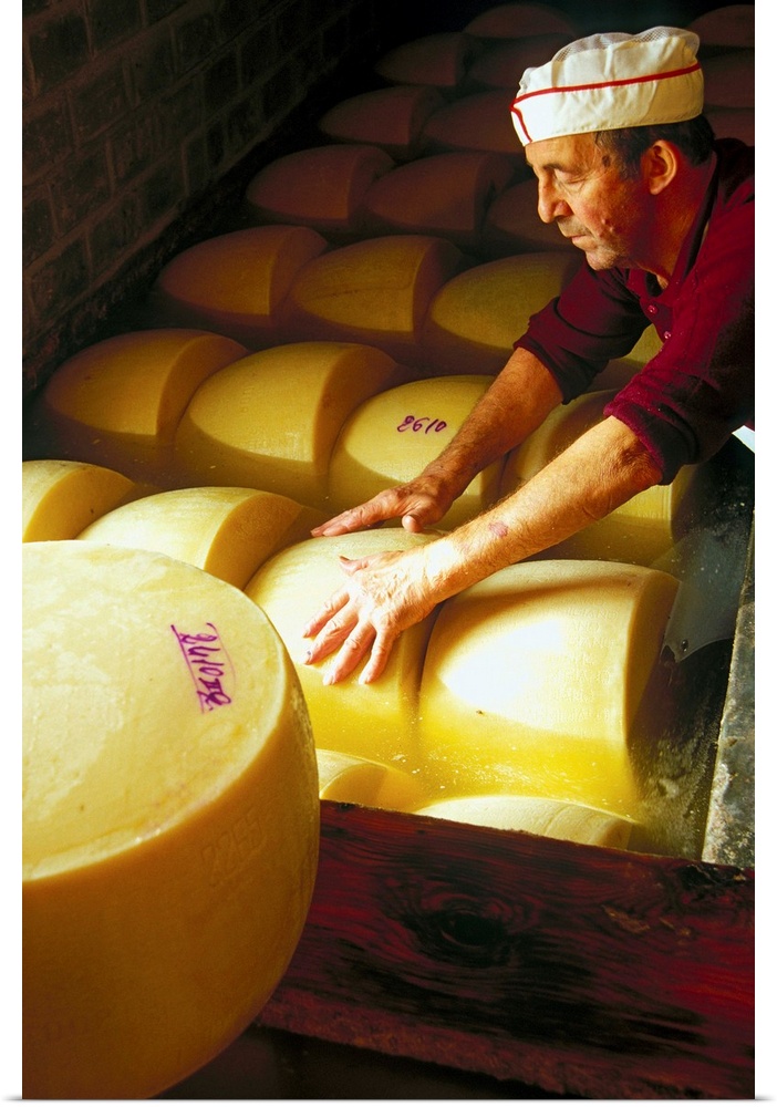 Italy, Parma district, Parmigiano Reggiano, shapes in tub of salting